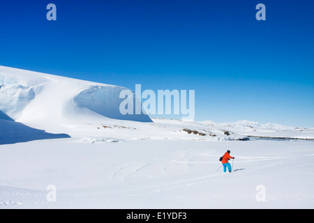 Man moves on skis. Glacier in background. Antarctica Stock Photo