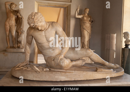 Dying Gaul statue in the Capitoline Museums (Musei Capitolini ) Rome Italy Europe Stock Photo