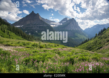 Mount Oberlin and Cannon Mountain in glacier National Park, Montana. Stock Photo