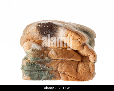 Mouldy bread isolated on white background. Stock Photo