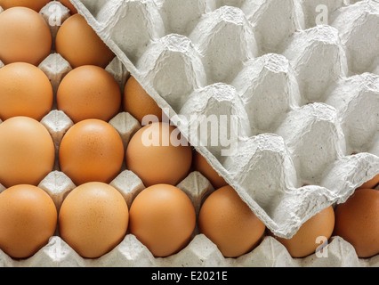 Closeup eggs in paper tray with cover. Stock Photo