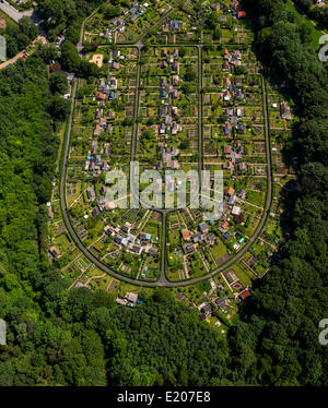Aerial view, Am Rottmanssteich allotments, Harper, Bochum, Ruhr district, North Rhine-Westphalia, Germany Stock Photo