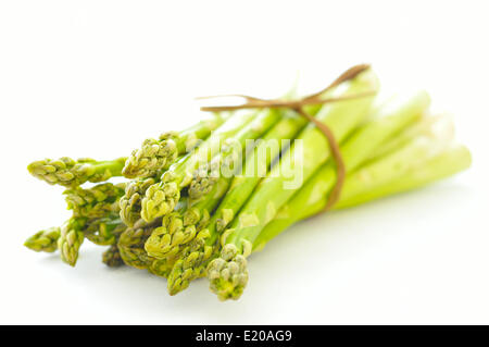 Asparagus Stock Photo