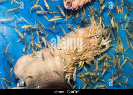 Foot therapy fish spa Stock Photo