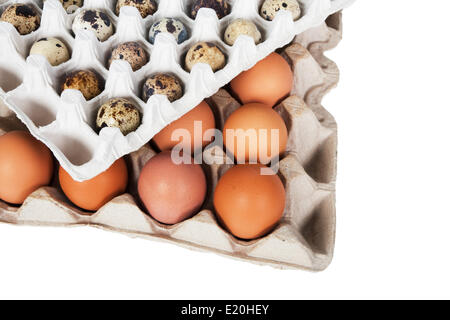 eggs in the package Stock Photo