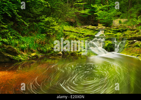 A small waterfall in lush forest in the Ardennes, Belgium. Stock Photo