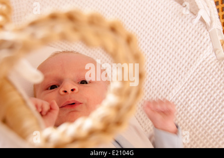 Newborn baby playing in white material moses basket Stock Photo