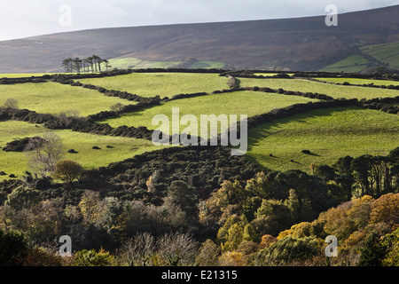 View across Ballaglass Glen towards Snaefell, near Maughold, Isle of Man Stock Photo