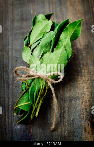 branch of laurel bay leaves on a wooden board Stock Photo