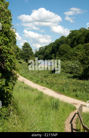 Creswell Crags Limestone Gorge on Derbyshire/ Nottinghamshire Border Stock Photo