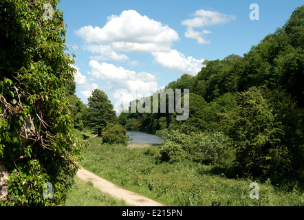 Creswell Crags Limestone Gorge on Derbyshire/ Nottinghamshire Border Stock Photo