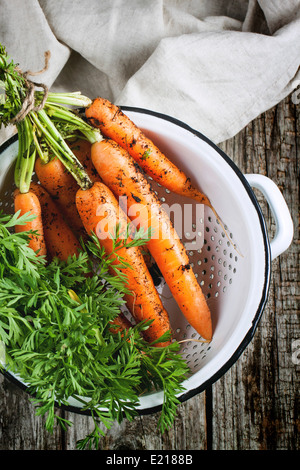 Bunch of fresh carrot with soil in white colander over wooden table. Top view. Stock Photo