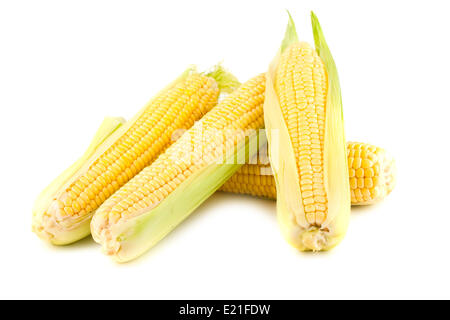 Yellow corn on the cob Stock Photo