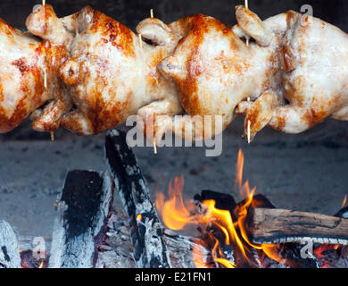 Chicken-grilled prepared over an open fire. Stock Photo