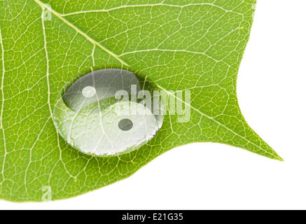 Yin yang symbol on water drop Stock Photo