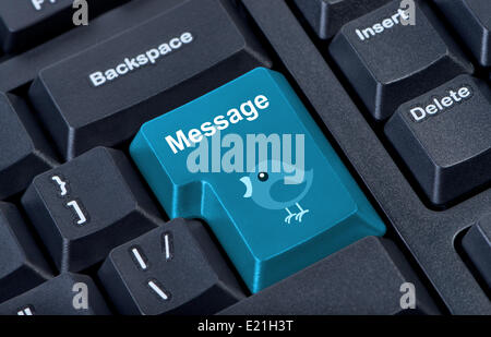 Button keyboard key, keypad with bird family closeup Stock Photo - Alamy