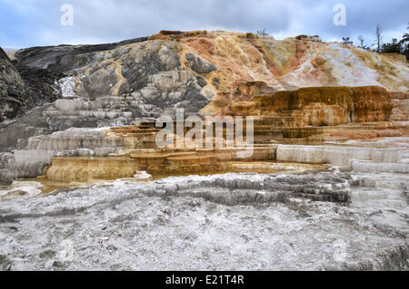 Mammoth Hot Springs in Yellowstone National Park Stock Photo