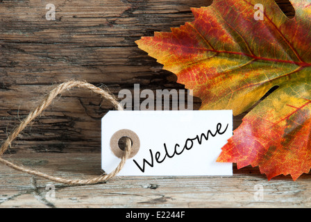 Autumnal Background with Welcome written on a white Label Stock Photo