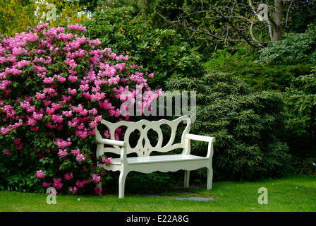 Beautiful seat in my garden Stock Photo