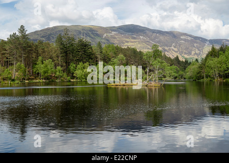 Glencoe Lochan and woodland created by Lord Strathcona for Canadian wife Isabella. Glencoe, Highland, Scotland, UK, Britain Stock Photo