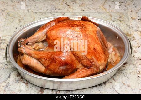 Closeup of a cooked Thanksgiving turkey in a roasting pan on a kitchen counter. The turkey has just come out of the oven. Stock Photo