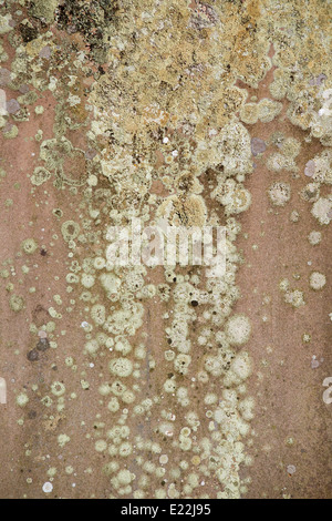 Stone texture background with closeup detail Stock Photo