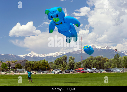 Man launching a large blue bear shaped kite from a park field Stock Photo