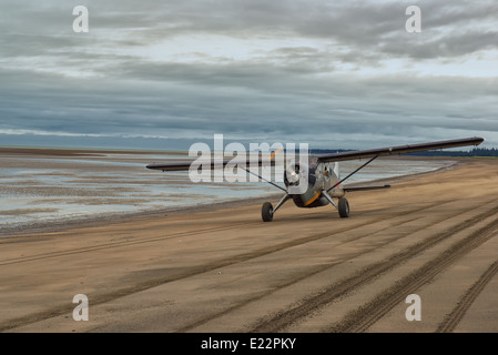 A Bush Plane lands on the beach in Lake Clark National Park Stock Photo