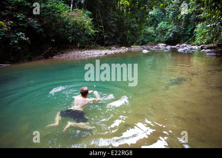 Swimming Pool In The Jungle Of Thailand, Luxury Vacation In Thailand 