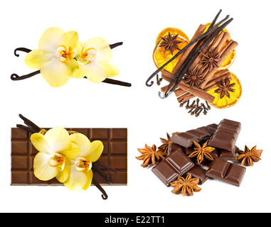 vanilla pods and orchid flower. chocolate and spices isolated on white background Stock Photo