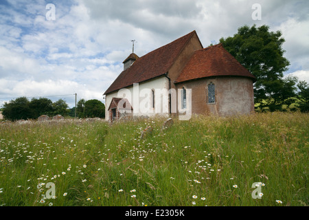 The 12th century Church of St Mary the Virgin in Upwaltham, West Sussex, England, UK Stock Photo