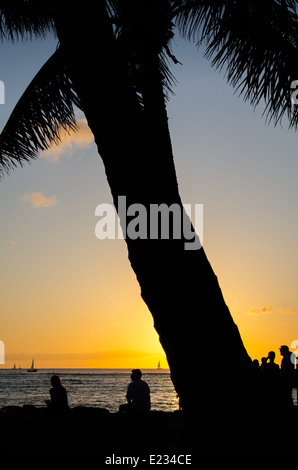 Silhoutte of a Palm Tree and people watching the sunset on Waikiki Beach on the Island of Oahu in Hawaii. Stock Photo