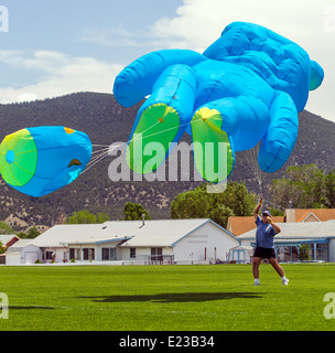 Man launching a large blue bear shaped kite from a park field Stock Photo