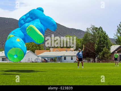 Man launching a large blue bear shaped kite from a park field Stock Photo