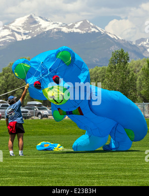 Man launching a large blue bear shaped kite from a park field Stock Photo