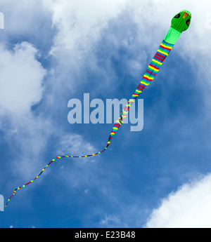 Serpent snake shaped kite against a Colorado sky Stock Photo