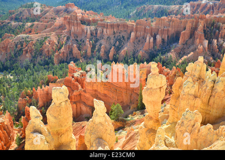 Early morning view from the Rim Trail at Bryce Canyon National Park in southwest Utah Stock Photo