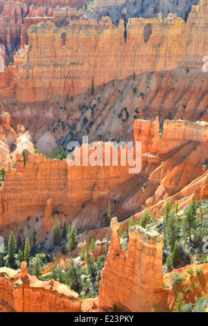 Early morning view from the Rim Trail at Bryce Canyon National Park in southwest Utah Stock Photo