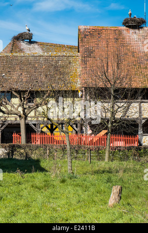 stork nests on the roofs of half-timbered houses at the écomusée d´alsace, ungersheim, france Stock Photo