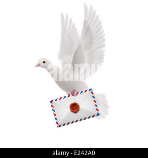 White pigeon flying with letter in beak Stock Photo