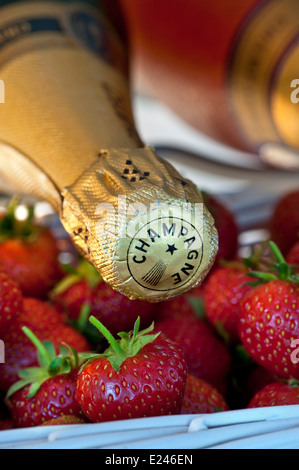 Close view on luxury Champagne bottles in wine chiller cabinet with punnets of fresh strawberries Stock Photo