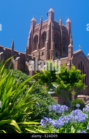 Christ Church Anglican Cathedral Newcastle New South Wales NSW Australia Stock Photo