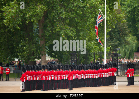 The Queen’s Birthday Parade, 2014 Trooping the Colour ceremony, Nijmegen Company Grenadier Guards in Horse Guards Parade, London, UK Stock Photo