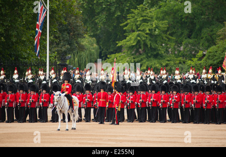 The Queen’s Birthday Parade, 2014 Trooping the Colour ceremony, Nijmegen Company Grenadier Guards in Horse Guards Parade, London, UK Stock Photo