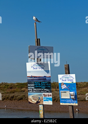 Sign for Seal Boat Trips to Blakeney Point from Blakeney Quay, Norfolk, England Stock Photo