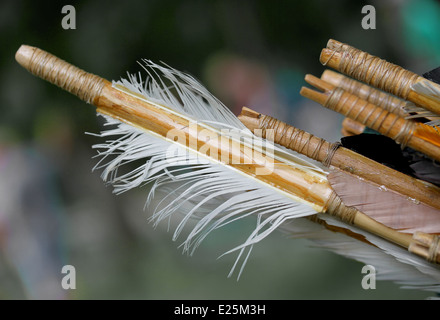 feathers for the stabilization of the old wooden hunting arrow and bird feathers Stock Photo