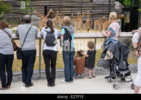 Visitors looking at giraffes, Paris Zoo France