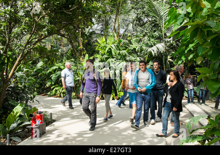 Visitors inside tropical glasshouse at Paris Zoo, France Stock Photo