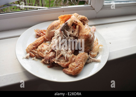 Dog ate cooked chicken carcass best sale