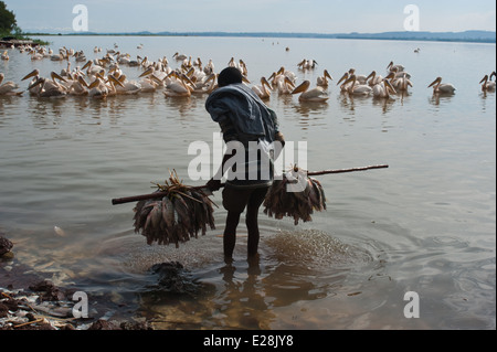 Fisherman carrying fishes he fished. In the background, pelicans ( Ethiopia) Stock Photo